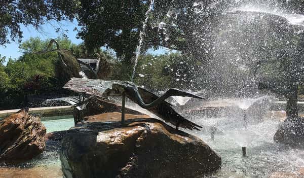 Bronze bird sculptures in mid-flight surrounded by water jets at a vibrant fountain in Safety Harbor park, shaded by mature trees.