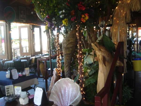 Inside dining area with marine life and ocean themed decor