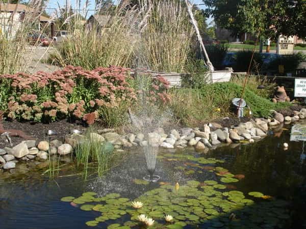 Pond with water spraying out of it