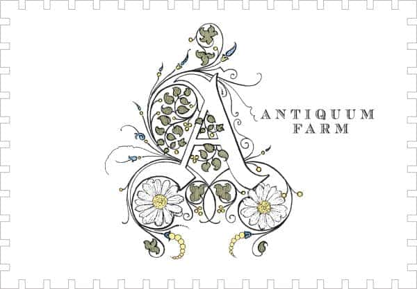 Pinot Gris, Antiquum Farm 2023 Willamette Valley, OR