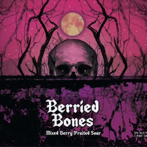 Dudleytown Brewing Co., Berried Bones Fruited Sour, Windsor, CT 5.0%