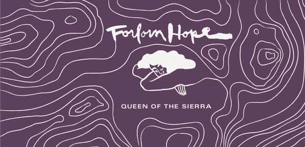 Amber (Orange), Forlorn Hope, Queen of the Sierra 2023 Sierra Foothills, CA