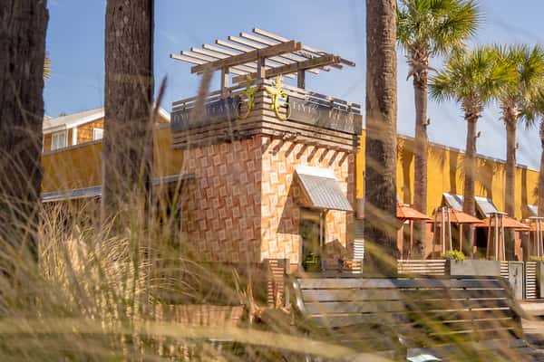 Flying Iguana's building exterior