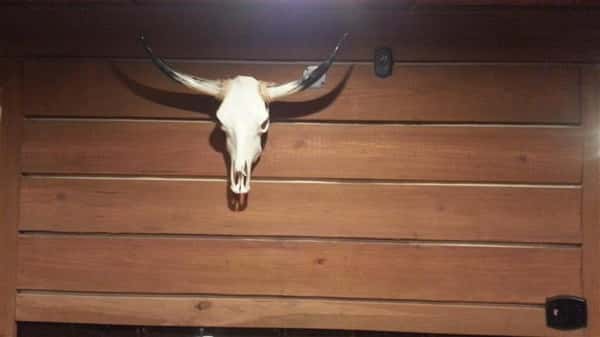 skeleton on the wall