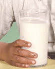 Milk