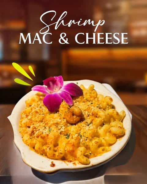 Velvety white cheddar. Tender, seasoned shrimp. Pure comfort in every bite. š§š¤
Our Shrimp Mac & Cheese is the lunch indulgence you've been waiting for. Come in and treat yourself.
#steakstreet #hpmkt #highpoint #hpmarket