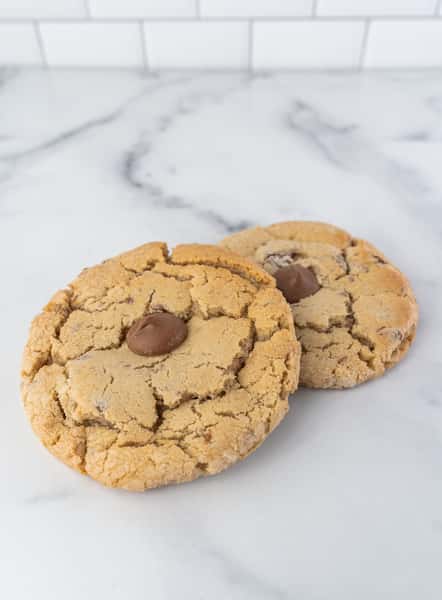 MILK CHOC CHIP COOKIE