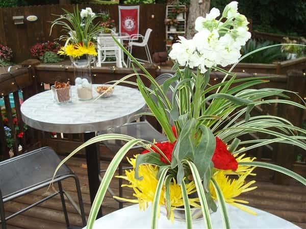 catered event and themed parties