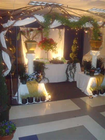 catered event and themed parties