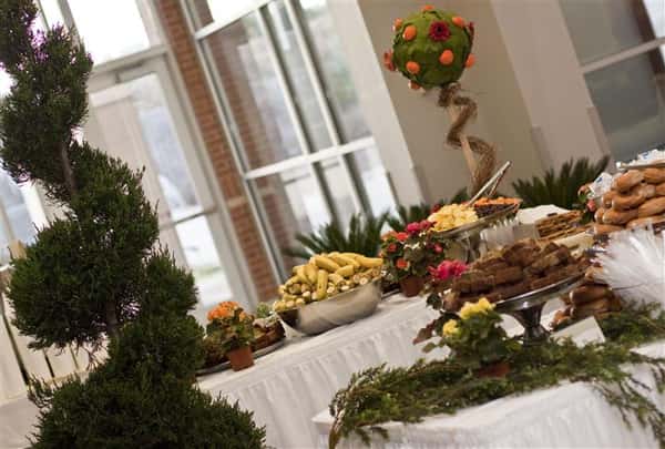 catered event and themed parties
