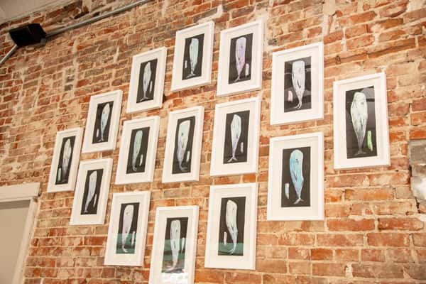 photo decor on a wall