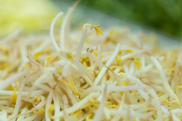 11. Bean Sprouts