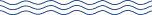 waves icon