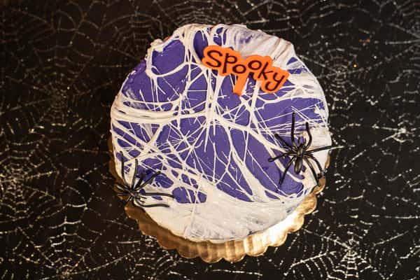 spooky spider cake