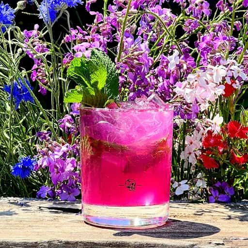 Watermelon Dragon Mojito
