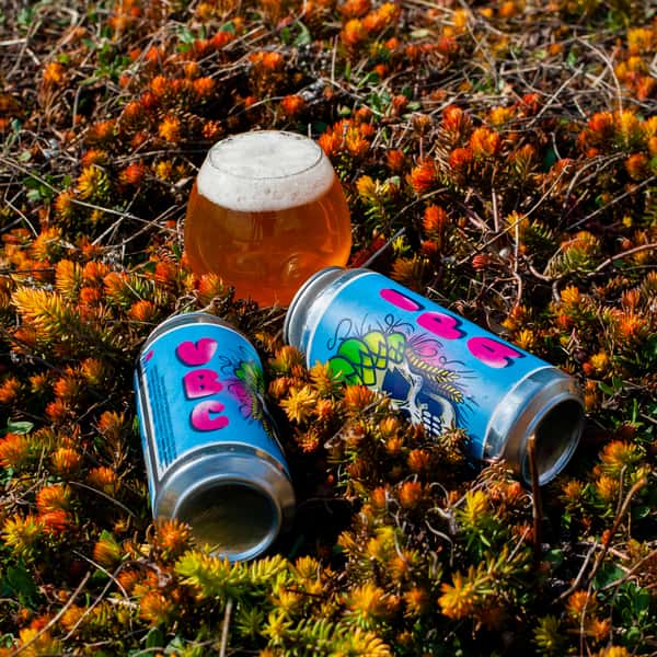 VBC IPA