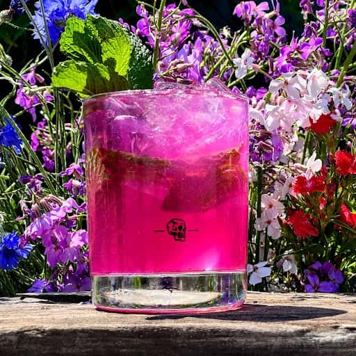 Watermelon Dragon Mojito