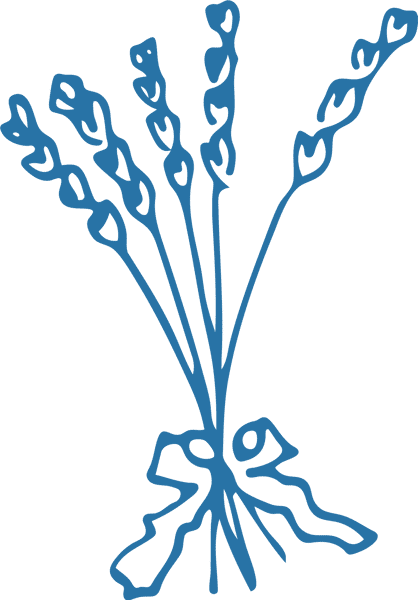 Blue line drawing of a bouquet of lavender tied with a ribbon, featuring delicate stems and small clustered flowers.