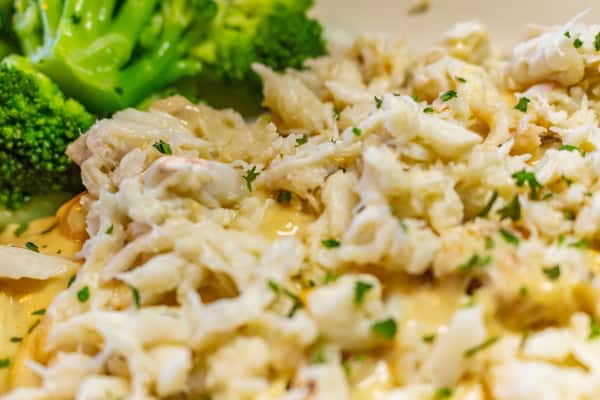 Chesapeake Haddock