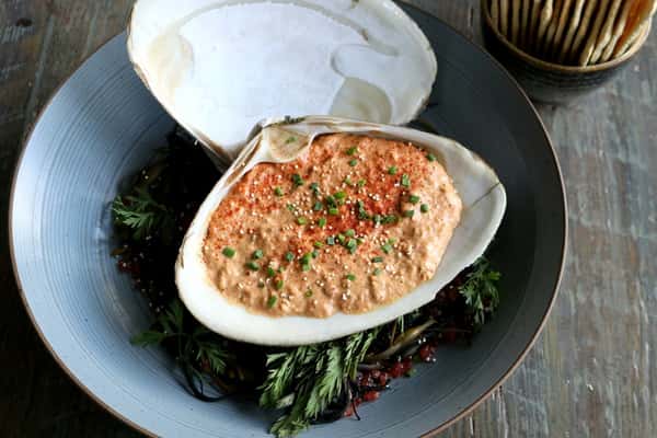 Paté de Almeja, a refined clam pâté appetizer served with bread, a coastal delicacy at Zaranda Houston