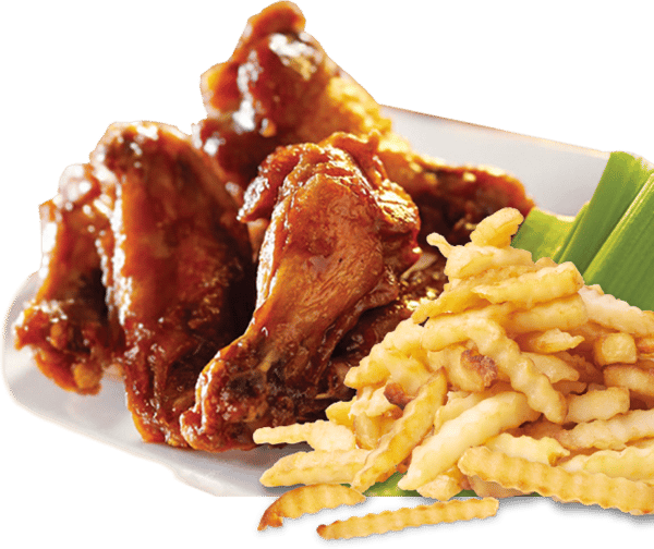 8 Pcs Wings