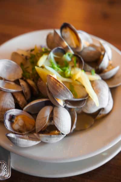 Clams