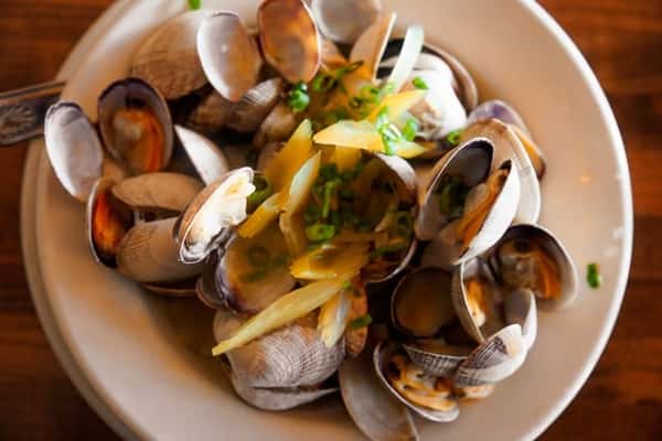 Bucket of Clams