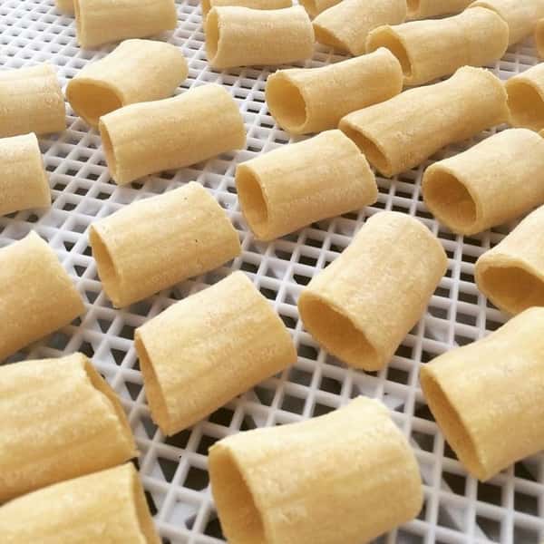 Fresh Pasta