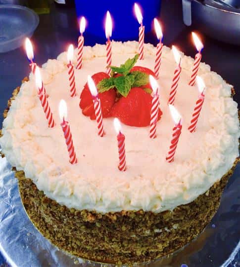 birthday hummingbird cake