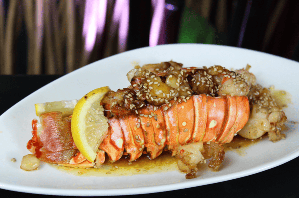 Lobster