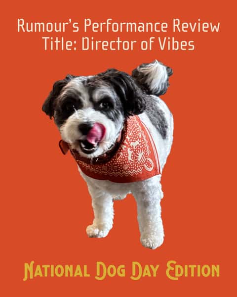 It’s National Dog Day, which means it’s time for our Director of Vibes’ performance review. 

Rumour continues to excel in guest relations, patio presence and team morale. 

Her boundaries around unattended tacos remain a development opportunity.

Overall rating: unmatched.

Happy National Dog Day from the hardest-working member of Two Step Taqueria.

#TwoStepTaqueria #NationalDogDay #DirectorOfVibes #AustinDogs