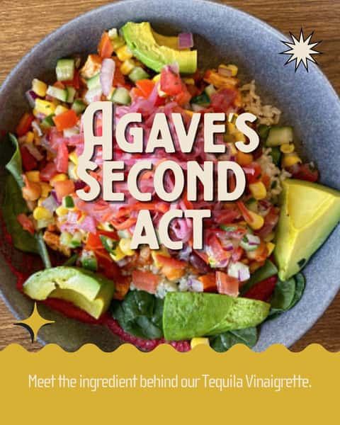 What does tequila production have to do with our Agave Vinaigrette?
More than you might think.
The vinegar we use is made from agave left over from the tequila-making process, giving it a second life instead of letting it go to waste.
It brings bright flavor to our vinaigrette and is one small example of how we think about sustainability in the kitchen.
Read Agave’s Second Act and more from Inside a Modern Texas Kitchen at the link in bio.
