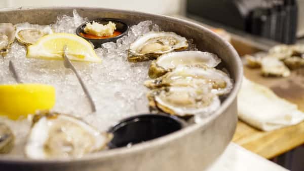 raw oysters