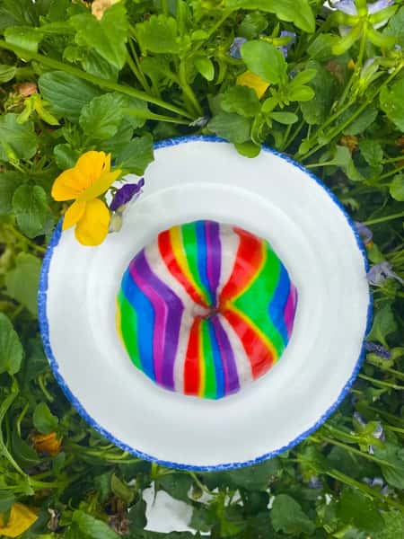 rainbow donut