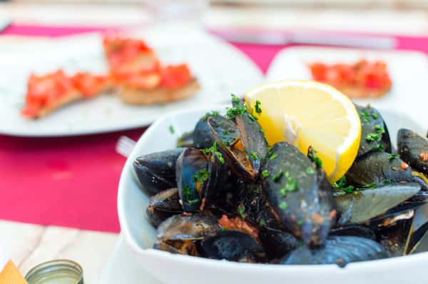 oysters