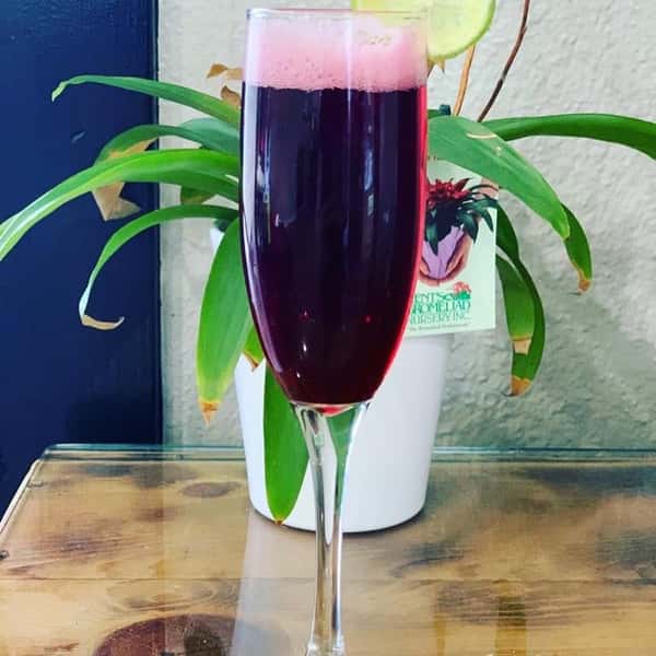 Hibiscus mimosa