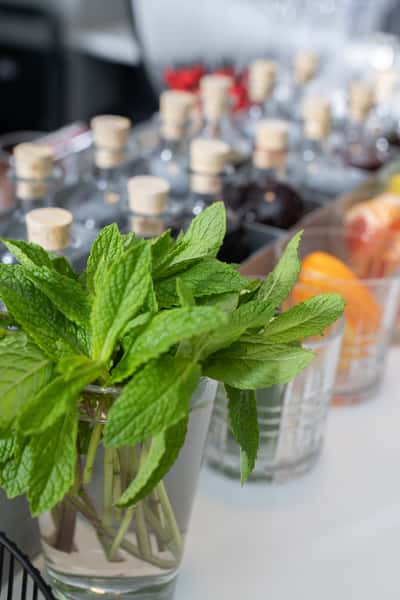 Garnishes Bar