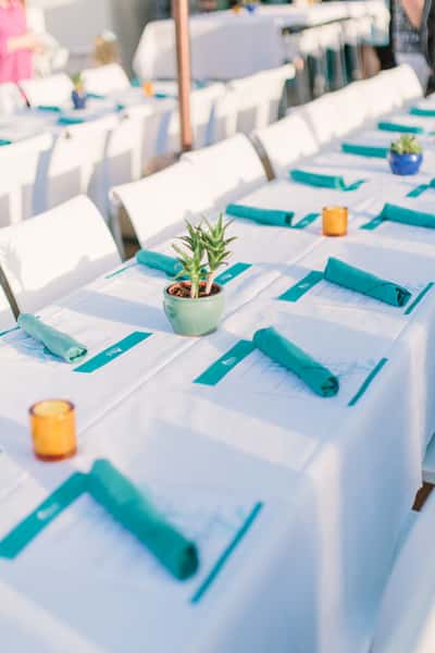 Party tables settings