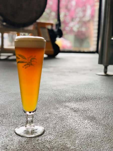 Pitter Patersbier