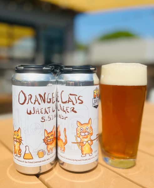 Orange Cats 4 Pack