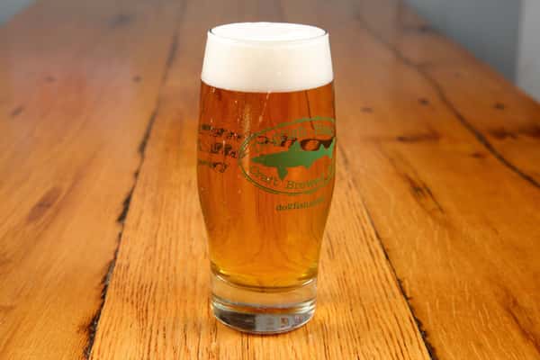 dog fish beer
