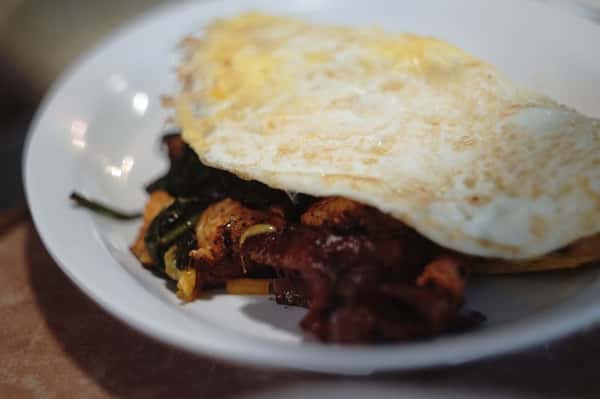 Egg Omelette