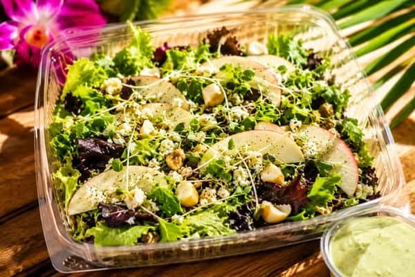 Fresh Springmix Green Salad