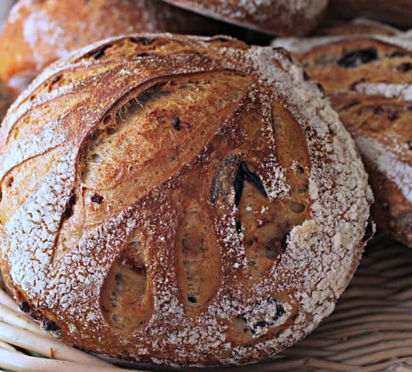 Bread
