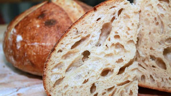 Bread