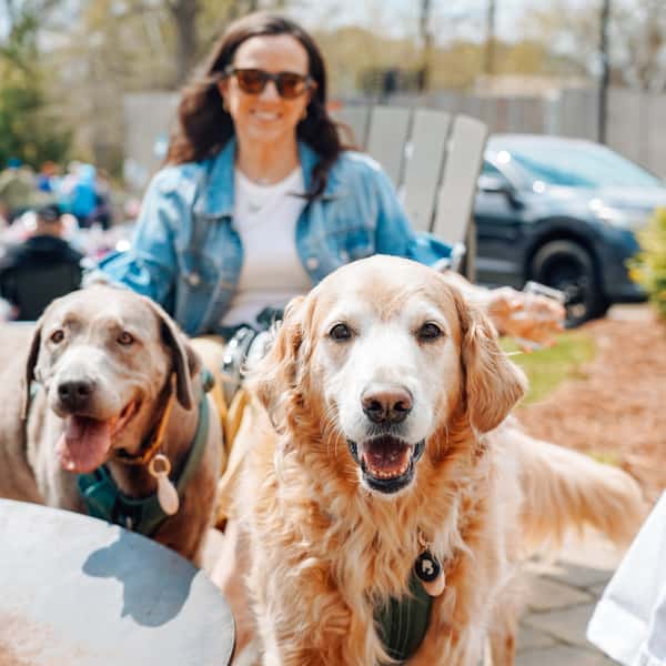 Dogs are Welcome