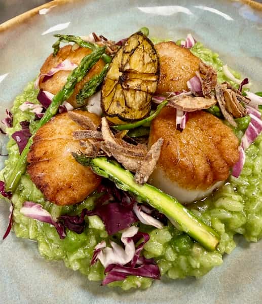 Sea Scallops