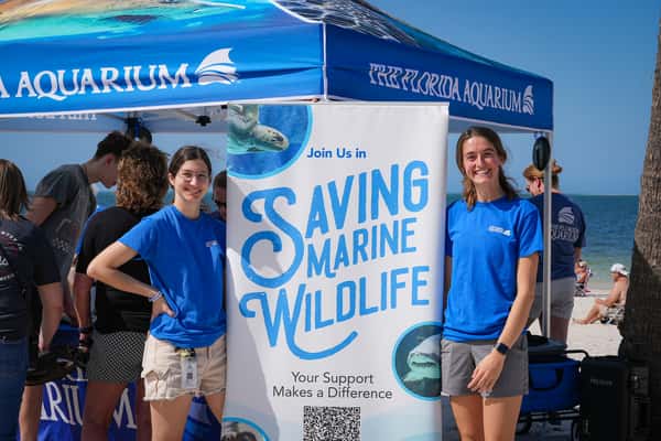 saving marine wildlife fund