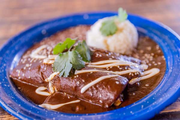 Chicken Mole Enchilada
