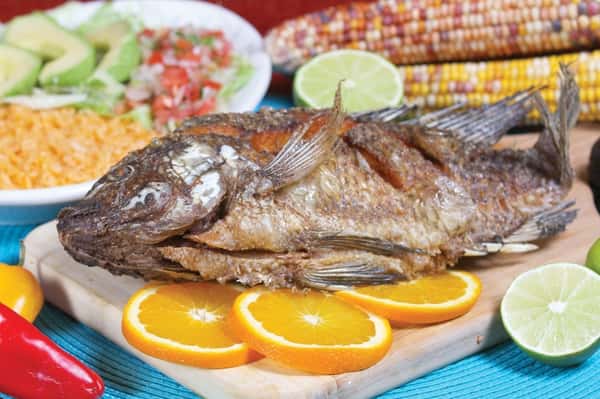 fried fish
